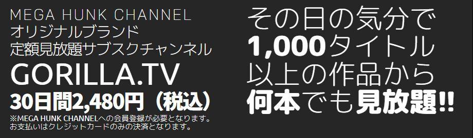 ハンクの月額定額制